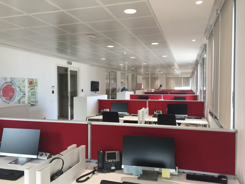 ELI LILLY BEIRUT Lineconcept